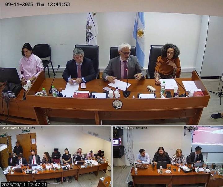 La pesadilla que vivió una víctima de violencia de género 15 días después de dar a luz