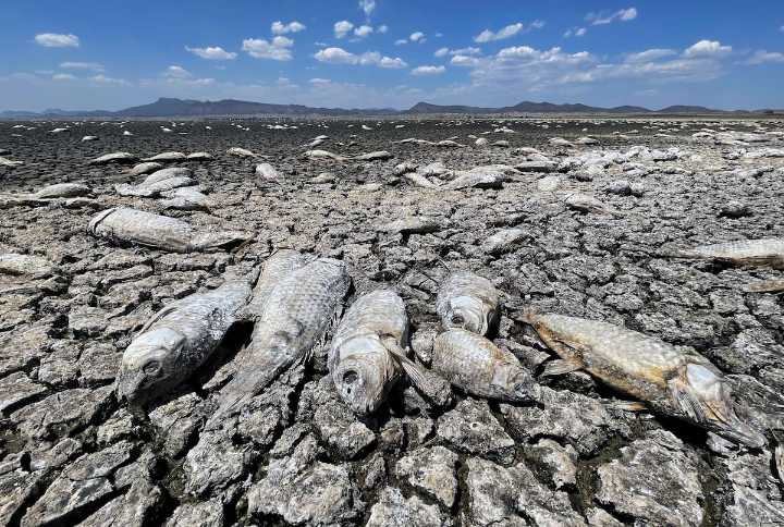 De las inundaciones a la sequía: la ONU advierte de que el ciclo del agua es cada vez más extremo