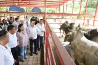 Javier May visita Fricetab y conoce el proyecto de sanidad ganadera