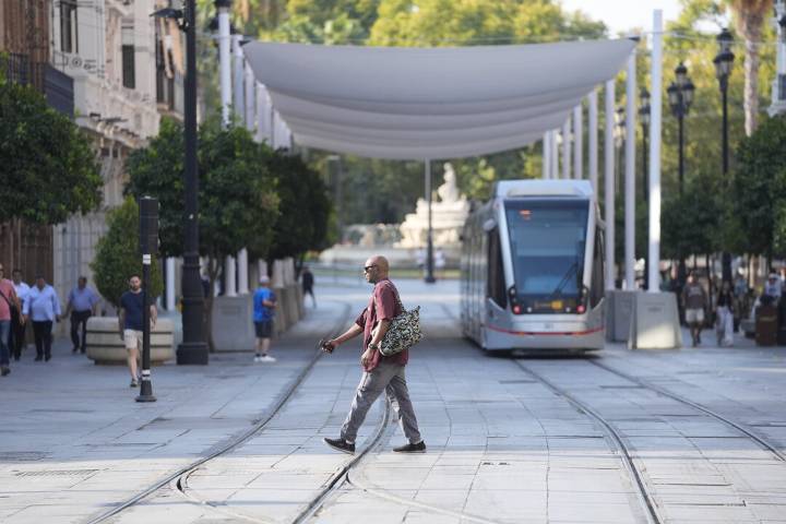 Muñoz exige a Sanz que pida perdón por el “fracaso” de los toldos en la Avenida
