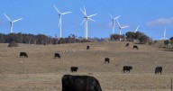 Empowering Aussies with discounted locally generated green power