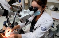 El gobierno de México invierte 7 millones en ciencia y tecnología