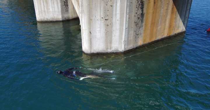 'Getting to yes' on spearfishing in Idaho