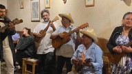 De Veracruz a Zamora: Los Baxin compartirán la magia del son jarocho en El Colmich y en la Casa de la Cultura