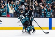Summer Synopsis: San Jose Sharks