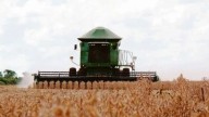El agro promete casi u$s33.000 millones en exportaciones, pero advierte por la presión fiscal