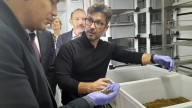 Una fábrica de moscas que comen residuos industriales, primera (y singular) empresa en instalarse en el pozo Carrio