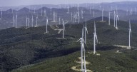 Environmental campaigner questions renewables growth on farmland