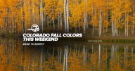 Here’s where fall colors are starting to show this weekend in Colorado