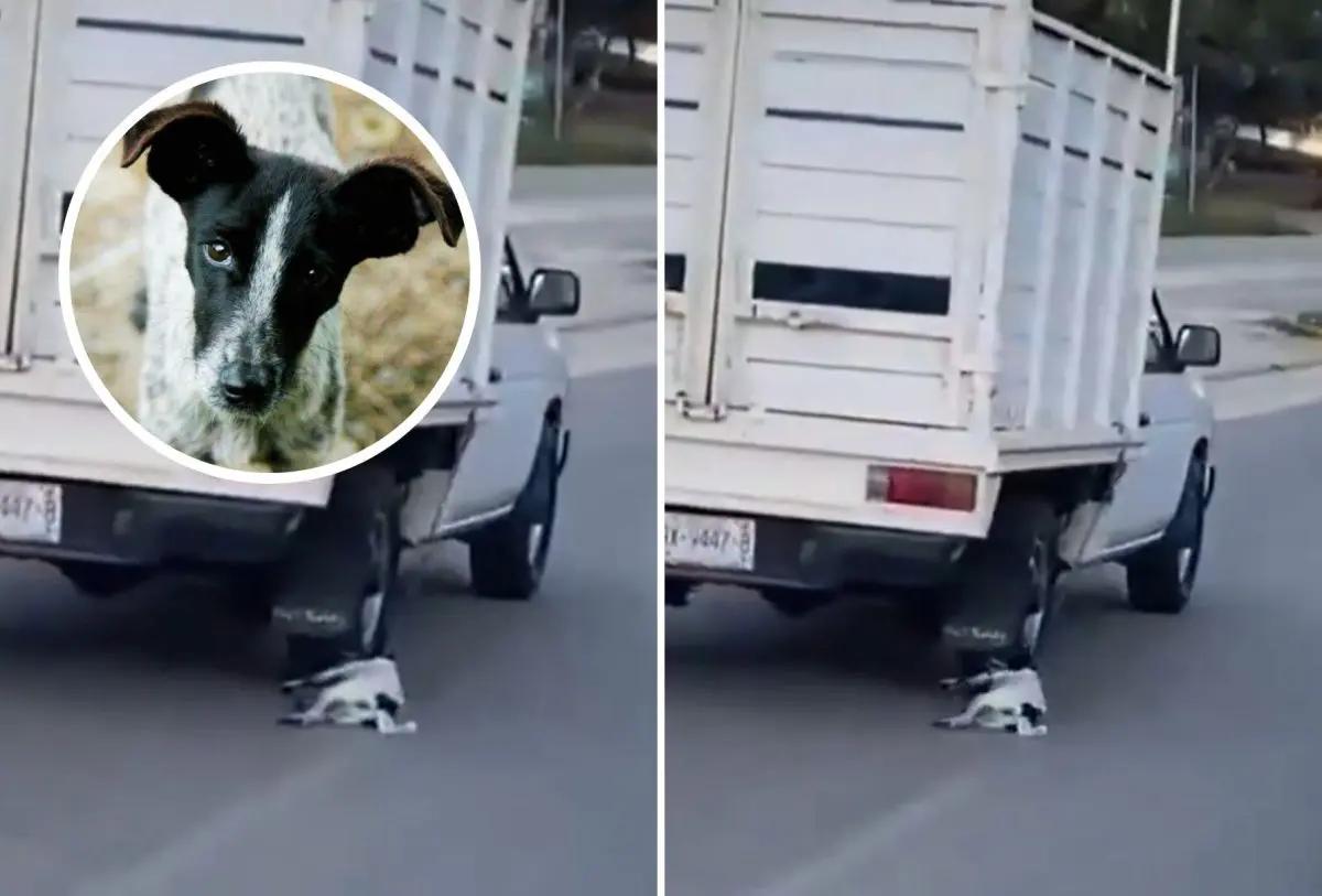 Crueldad animal en Oaxaca: Sujeto arrastra a perrito en carretera de Puerto Escondido