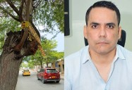 Concejal Enrique González pide al Dadsa retirar árboles enfermos que representan peligro
