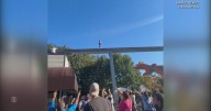 Boy rescued from monorail track at Pennsylvania amusement park