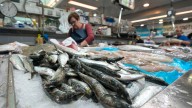 La caída del consumo aboca al cierre a más de 5.000 pescaderías en España