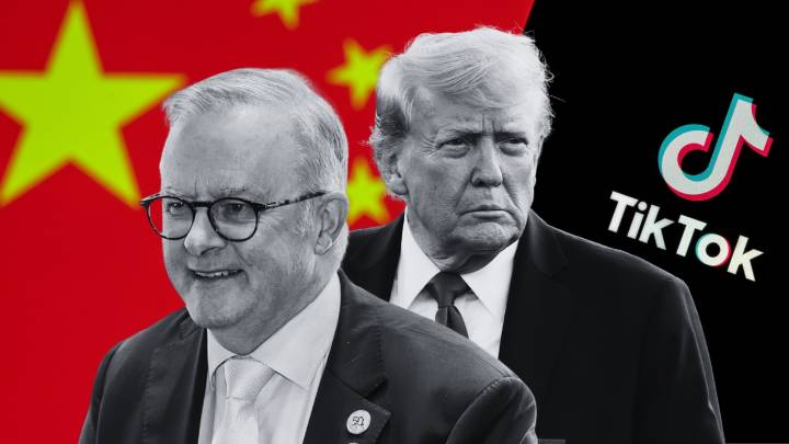 Albanese government told to follow Trump administration’s lead on forced TikTok asset transfer out of Chinese hands