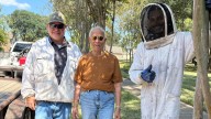 Beekeeper saves Texas homeowner from costly bee removal