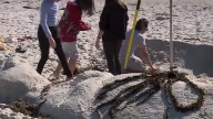 '﻿﻿﻿With sand, you can create just about anything': Town hosts legendary sandcastle contest