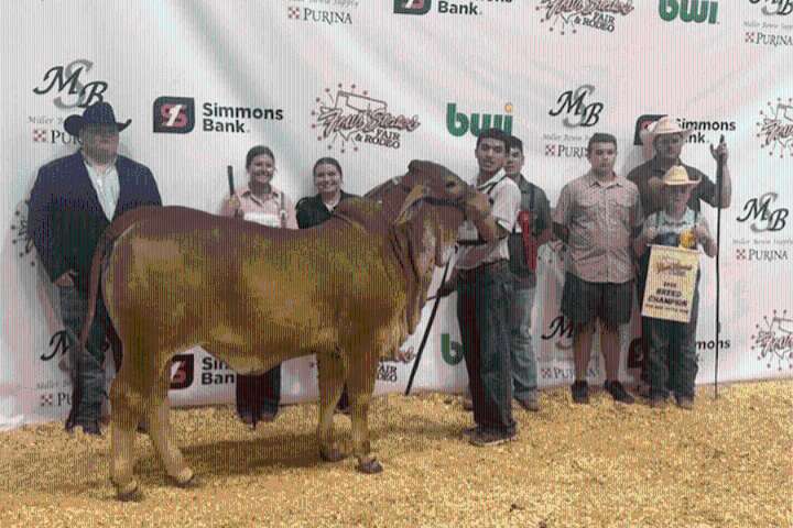 Gladewater High School student wins grand championship at Four States Fair