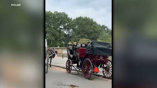 Spooked carriage horse takes off running in New York's Central Park with no one at the reigns