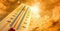 Llegó el calor a Salta: conocé como estará hoy el clima