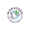 Niskayuna bans airsoft-style guns in public places