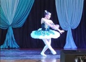 Comenzó la XXX edición del Festival de Danzas del Mercosur