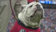 Georgia Bulldogs kickoff moved up one hour for safety