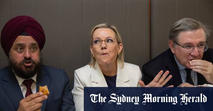 Alex Hawke calls for Jacinta Price to apologise over Indian immigration comments