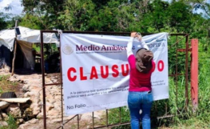 Profepa clausura de forma definitiva granja porcícola en Yucatán; incumplió siete medidas correctivas