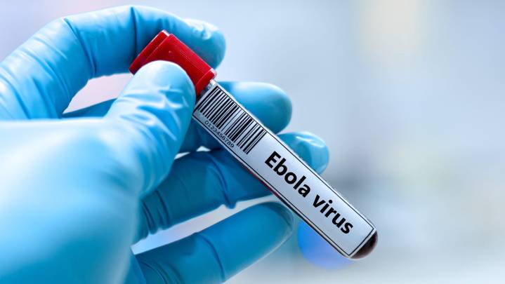Ebola virus outbreak warned by CDC. Symptoms, what to know