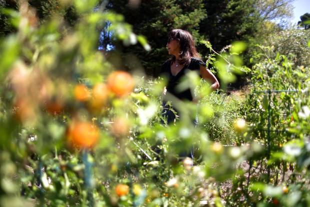 With her new cookbook, Vegan cheese pioneer hopes to democratize food