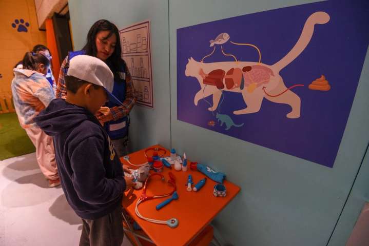 La Secretaría de Cultura tendrá el control del Papalote Museo del Niño