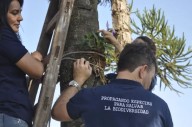 Plantaron orquídeas para celebrar el Día del Orquideófilo Misionero