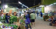 Conflicto en Cofruthos generó tensión entre los asociados