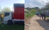 Trágico accidente en La Plata: camión atropelló y mató a una nena de 7 años