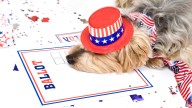 Woman Faces Charges After Registering Dog To Vote, Sharing Ballot Photo