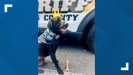 Bomb detection K-9 Tito beats cancer