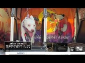 Don't sweat it! Mobile dog treadmill gym promises to help pets beat the heat