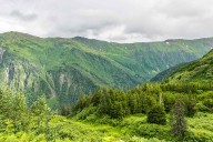 Cruise Passenger Dead and Another Injured After Falling During Hike in Alaska