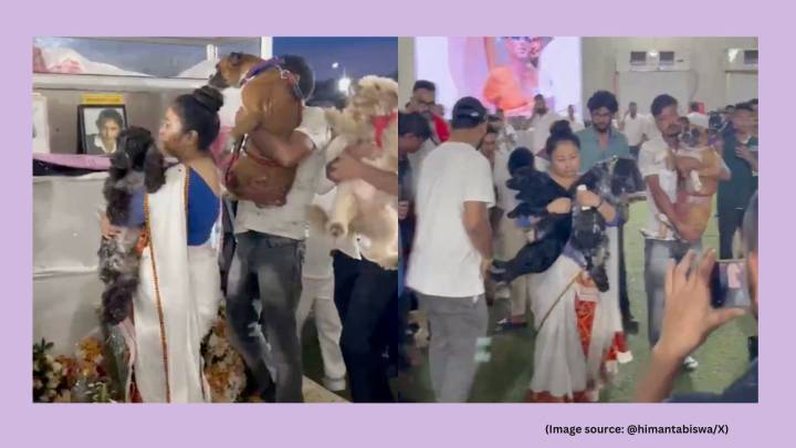 ‘Heart-touching scene’: Zubeen Garg’s wife brings pet dogs to coffin in emotional funeral scene; video emerges