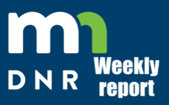DNR Report: Mixed reports on bear, early teal and goose hunting success