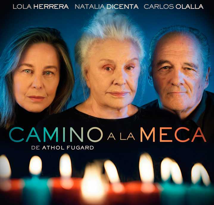 La programación cultural de Soria para este otoño e invierno incluye el «gran espectáculo» circense Ambulant y ‘La Casa de Bernarda Alba’ , interpretada por actrices gitanas