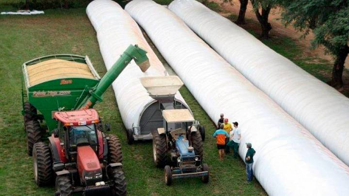 "Un curro que beneficia a las grandes exportadoras”