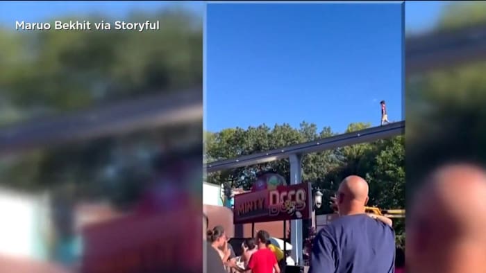 VIDEO: Boy rescued after wandering onto monorail track at theme park