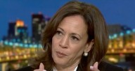Harris: Trump Is a 'Tyrant' Killing Capitalism to Stroke His 'Fragile Ego'