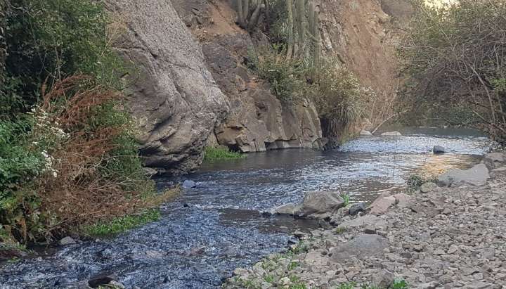 Nuevo espacio protegido en la región Metropolitana: Estero del Arrayán y sus afluentes son declarados como Humedal Urbano