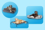 PetSmart’s Dog Beds Are on Sale Starting at $10