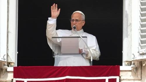 Pope Leo XIV marvels at 'huge learning curve' on his 70th birthday