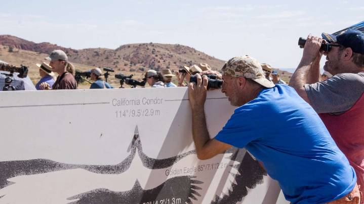 5 more critically endangered condors to be released near Utah. Here's how to watch