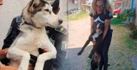 Policía Auxiliar de Michoacán e IMPA unen esfuerzos por bienestar animal en Morelia