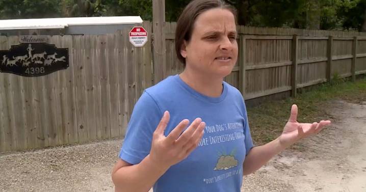 Judge sets trial date for Nikki Camerlengo in Palm City dog trainer animal cruelty case